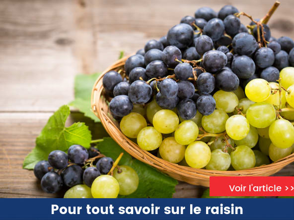 Le raisin